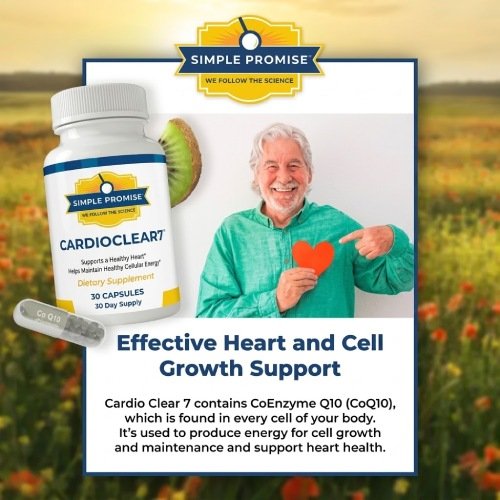 Cholibrium mushroom supplement for healthy heart and cholesterol support
